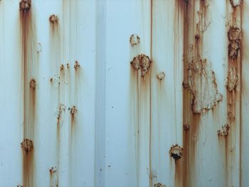 Full frame shot of rusty metal door