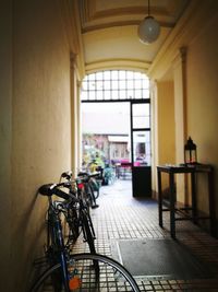 Bicycle in window