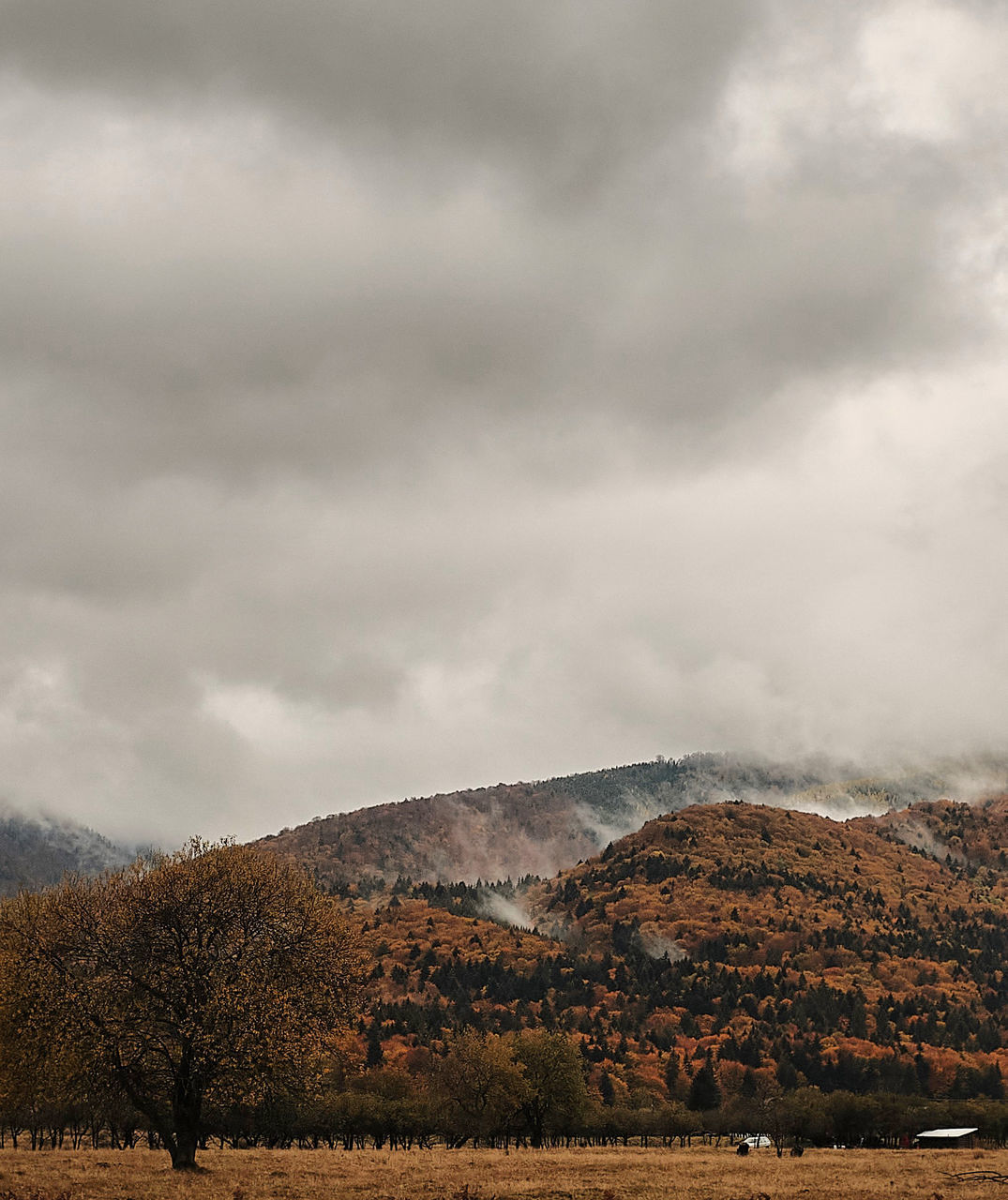 SCENIC VIEW OF MOUNTAIN AGAINST SKY