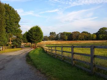 Road passing through field