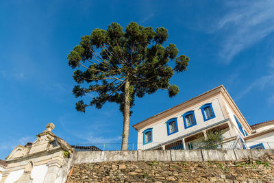 Low angle view of tree by building against sky