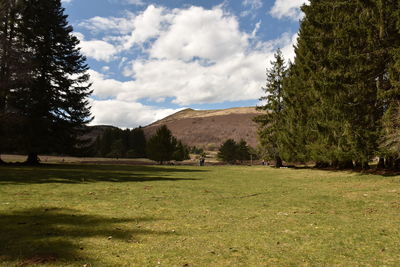 Scenic view of field against sky