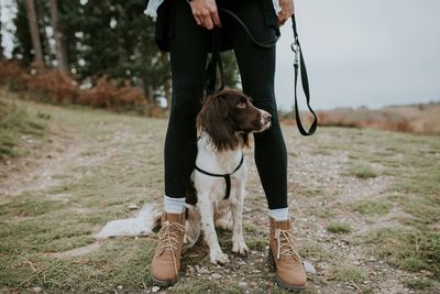 Low section of woman standing with dog on grassy field at park