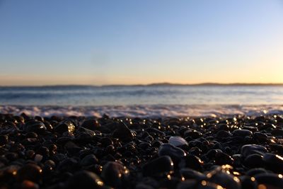 Close-up of pebbles on beach against sky during sunset