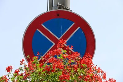 Low angle view of flowers by road sign against clear sky