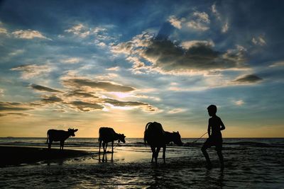 Silhouette people on beach against sky during sunset