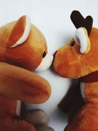 Close-up of stuffed toy over white background