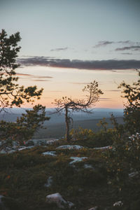 Scenic view of lake against sky during sunset