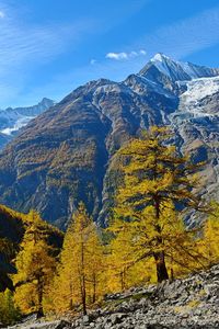 Scenic view of snowcapped mountains against sky during autumn