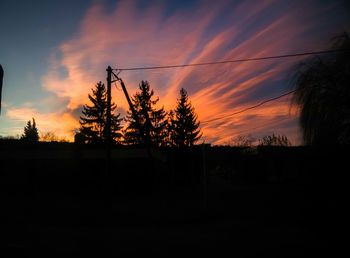 Silhouette trees against sky at night