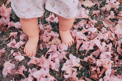 Low section of woman standing on pink leaves