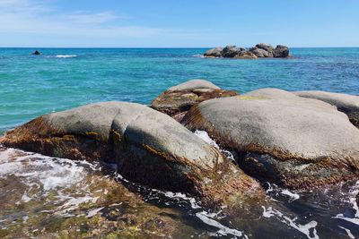 Scenic view of sea shore against sky