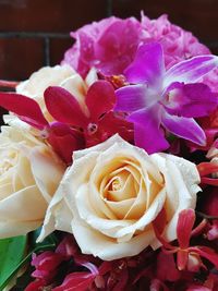 Close-up of pink roses