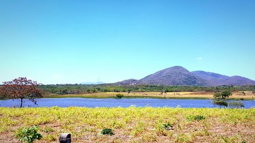 Scenic view of lake and mountains against clear blue sky