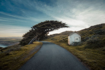 Scenic view of tree and cabin in point reyes national seashore in california.