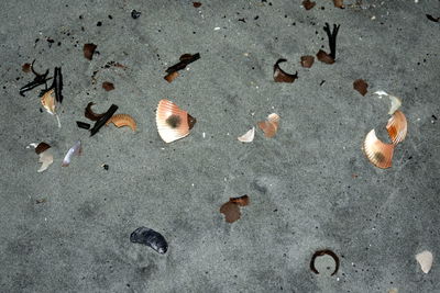 High angle view of stones on beach