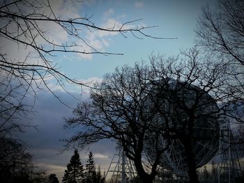 Low angle view of bare trees against sky