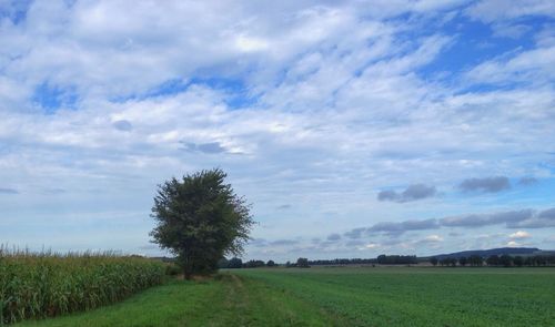 Scenic view of grassy field against cloudy sky