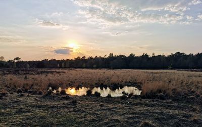 Scenic view of field against sky during sunset