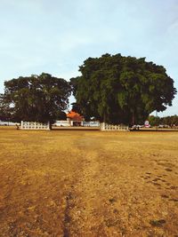 Trees and houses on field against sky