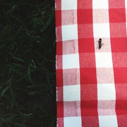 Full frame shot of red fabric