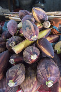 High angle view of shells for sale at market