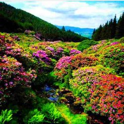 Scenic view of mountain against sky