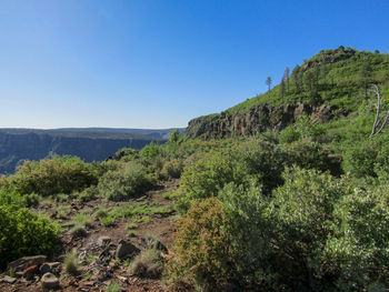 Scenic view of mountains against clear blue sky