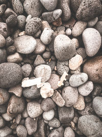 High angle view of stones on pebbles