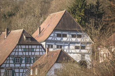 Medieval buildings in front of forest