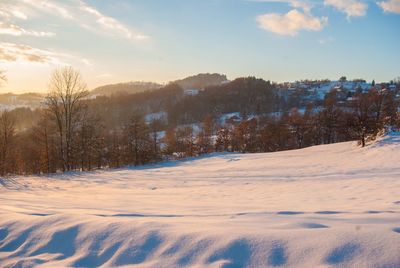 Trees on snow covered field against sky