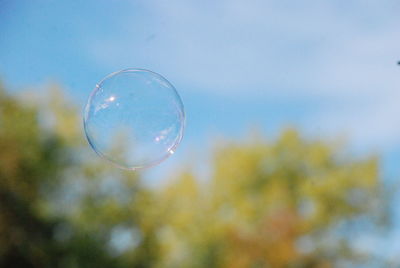 Close-up of bubbles against sky