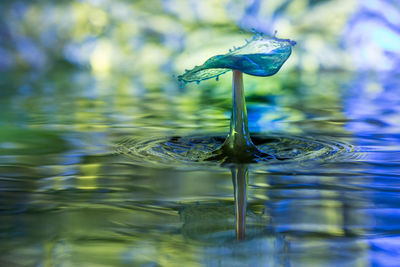 Close-up of water splashing