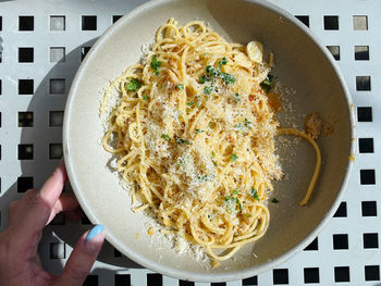 Directly above shot of person holding noodles