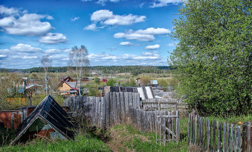 View of trees on field against sky