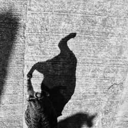 shadow