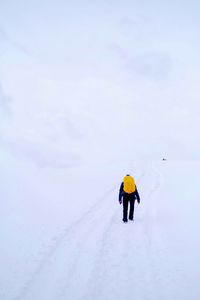 Rear view of people walking on snow covered land