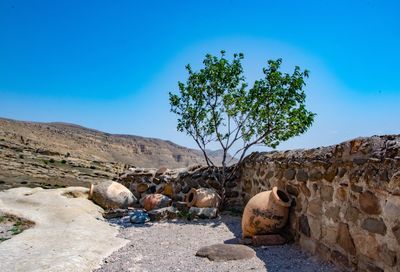 Rocks and trees against blue sky