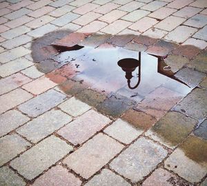 High angle view of wet puddle on street