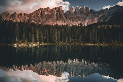 Reflection of trees in lake against sky