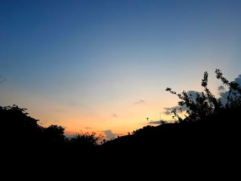 Silhouette plants against sky during sunset