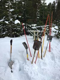 Shovels in snowy field against trees