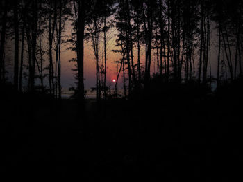 Silhouette trees in forest against sky during sunset