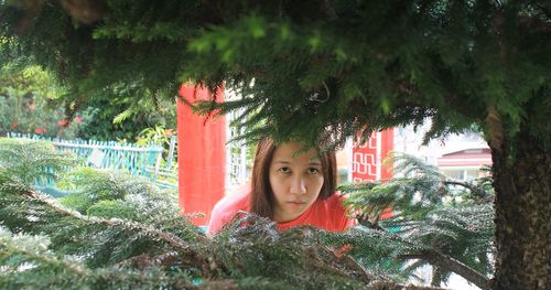 Portrait of boy against trees