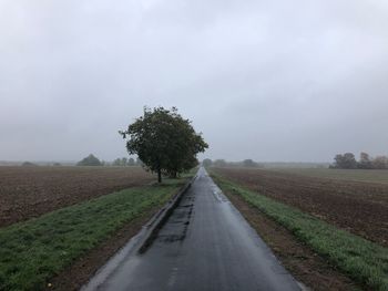 Road amidst agricultural field against sky