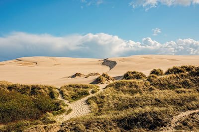 Scenic view of desert against sky