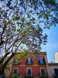 Low angle view of tree against building