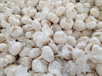 Full frame shot of white garlic