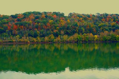 Scenic view of lake by trees against sky