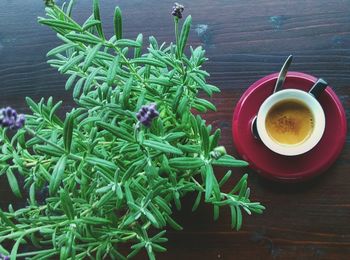 Directly above shot of coffee and potted plant on table